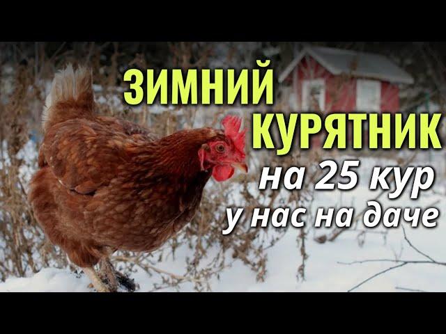 Зимний курятник на даче на 25 кур