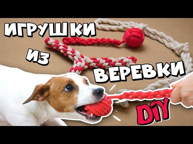 DIY ИГРУШКИ ДЛЯ СОБАК | ПРОЧНЫЕ ИГРУШКИ ИЗ ВЕРЁВКИ