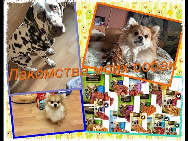 Лакомства моих собак