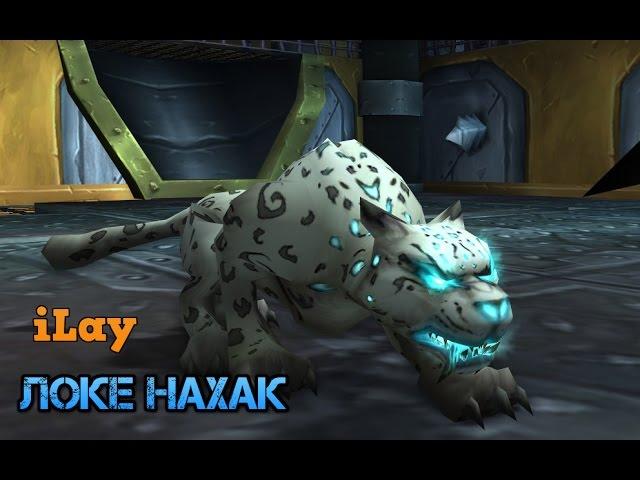 World of warcraft - Локе'нахак поиски питомца.