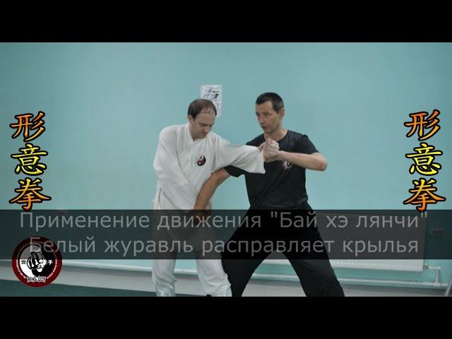 Применения синъицюань. Фрагмент семинара/Xingyiquan applications