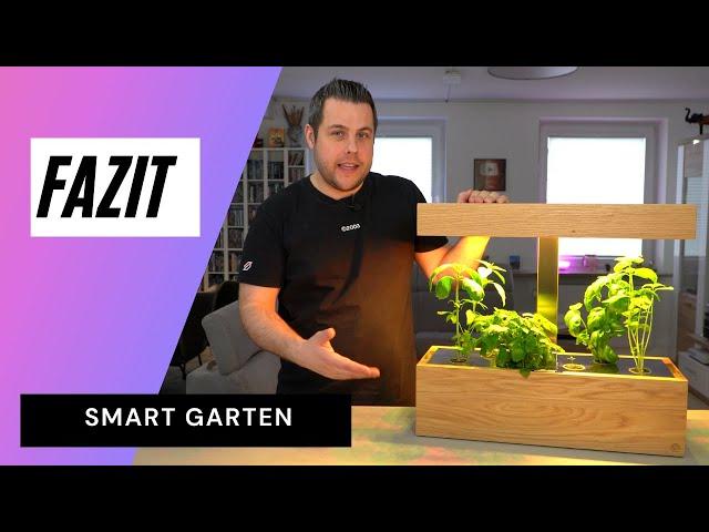 Smart Garten von Simpleplant Fazit nach 8 Wochen