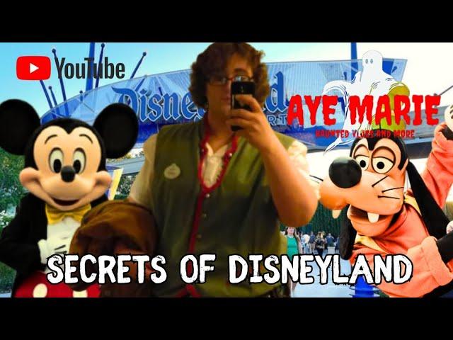 The scary truth about Disneyland #trending #trend #disneyland #funny #trendingshorts #trendingvideo