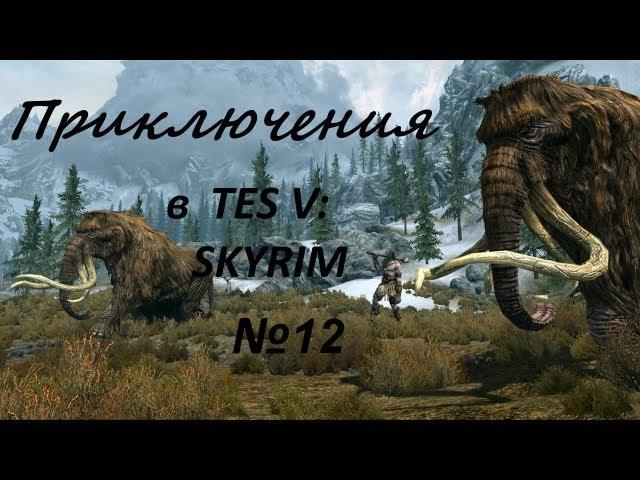 Приключения в TES: Skyrim #12 [Садия и бандиты]