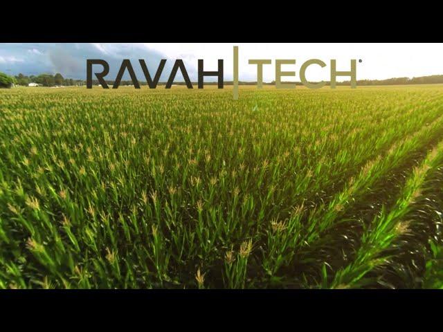 Introducing RavahTech Nutrisens