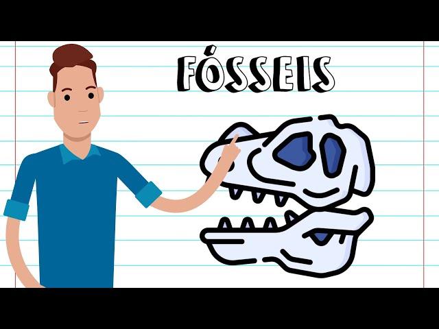 Fósseis - RESUMO