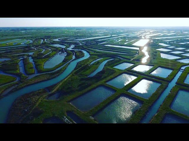 Cap Sud Ouest: Ile d'Oléron, intime et sauvage