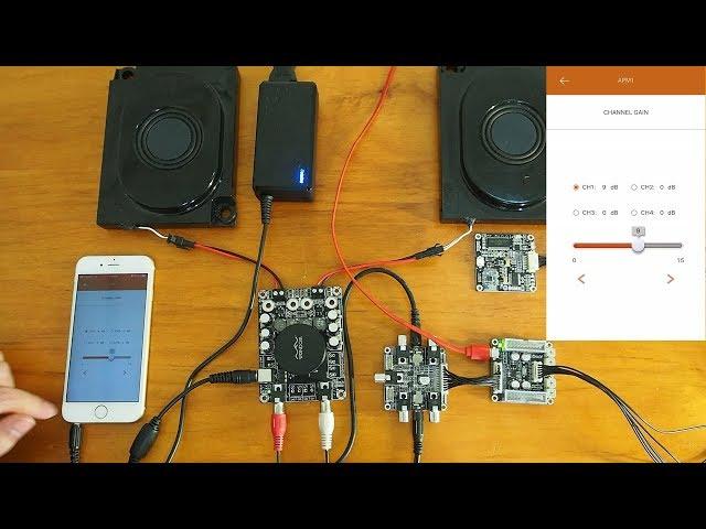 Use APP To Change DSP Settings Of Your Amplifier with WONDOM APM2 Analog Devices Sigma DSP ADAU1701