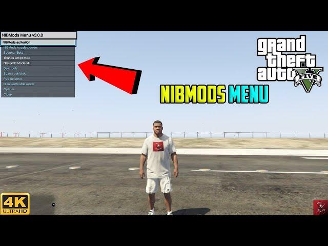 HOW TO INSTALL NIBMOD MENU IN GTA 5 | GTA 5 MODS | THE SHARK GAMING