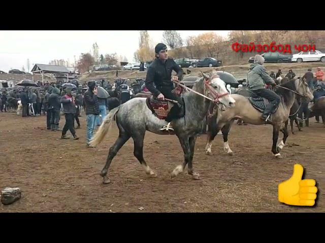 Мол бозори Мискинобод 30 10 2022