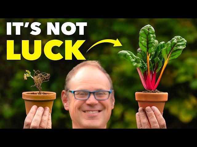 The Clever Way Smart Gardeners Stop Plants Dying