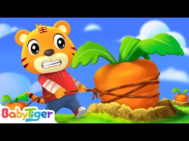 【拔蘿蔔】貝樂虎兒歌大全｜兒歌童謠 - educational songs for children | 貝樂虎兒歌babytiger