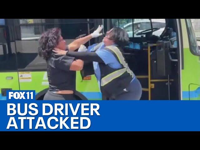 Bus driver attacked in South LA