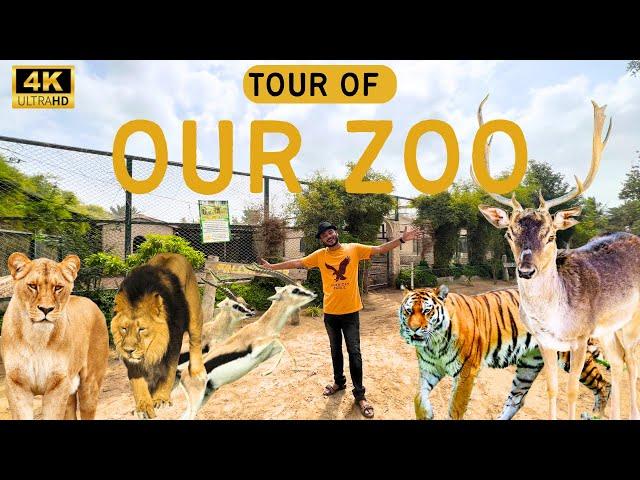Our zoo tour (1000+ animals)