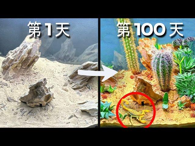 模拟沙漠 100 天