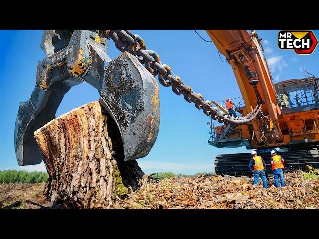 Extreme Dangerous Fastest Big Chainsaw Cutting Tree Machines | Biggest Heavy Equipment Machines #9