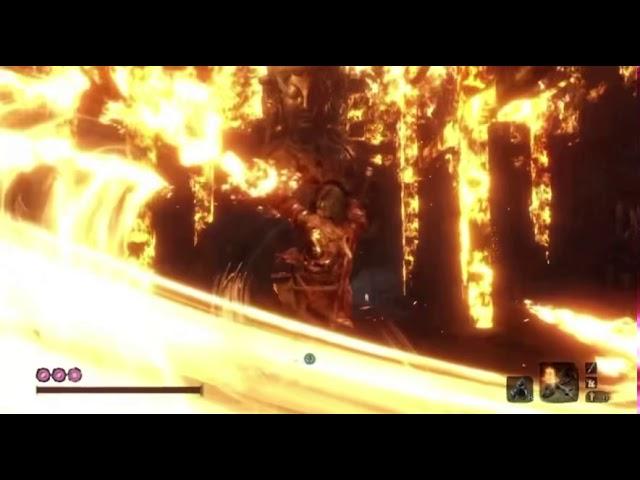 Sekiro Shura fighting style