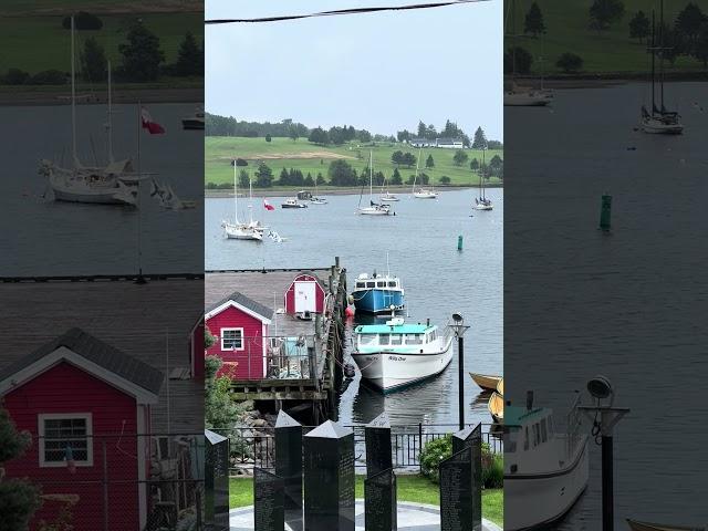 Misty Nova Scotia  #4kwalk #travel #walking4k #traveldestinations #walkingtour #canada