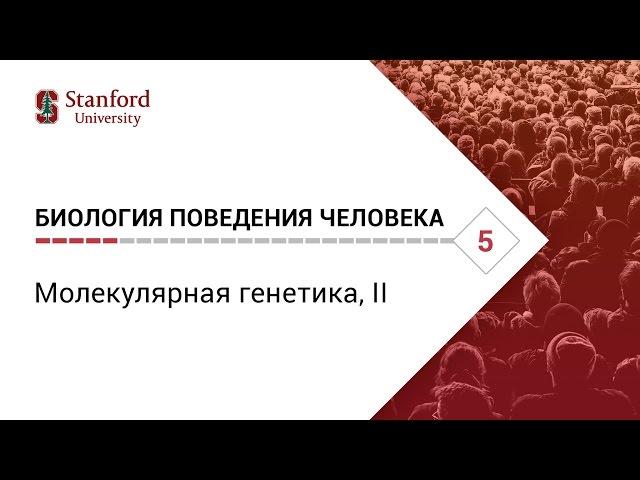 Биология поведения человека: Лекция #5. Молекулярная генетика, II [Роберт Сапольски, 2010. Стэнфорд]