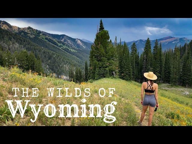 Wyoming: The Wild Camping Adventure You Need To Have