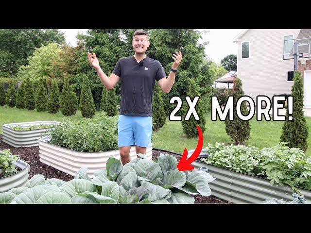 How To GROW 2X The Food With LESS Space