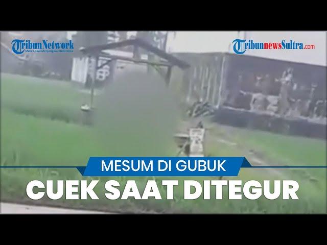 Video Mesum Pria Wanita di Gubuk Pinggir Sawah Pekalongan, Tetap Cuek Saat Ditegur Warga