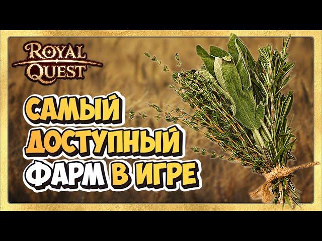  Royal Quest Фарм  Самый Лучший Фарм для Новичков. Где фармить новичку