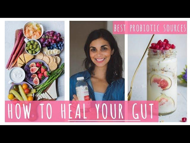 HOW TO HEAL YOUR GUT ON A VEGAN DIET | best probiotic foods