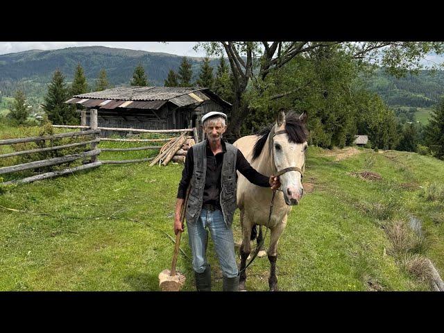 He Lives Alone in the Mountains with His Horse | Off Grid Grandpa Life in the Carpathians