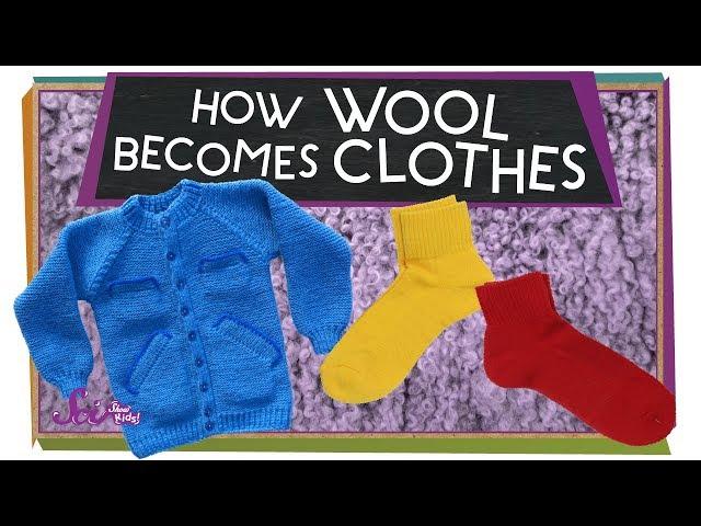 Wonderful Wool!