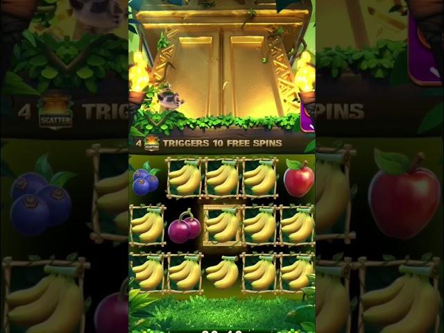 #jungle delight #jungle delight tips and tricks #jungle delight super win #yonorummy  #yononewgames