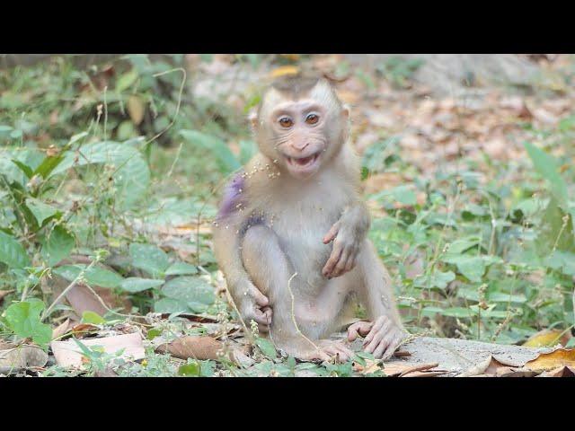 Heartwarming Reunion: Abandoned Samuel (Polee) Seeks Comfort in Kunthear's Milk