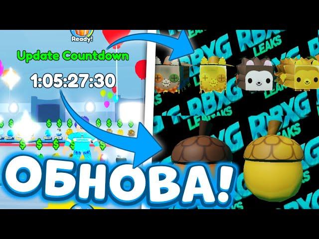 ТАЙМЕР УЖЕ В ИГРЕ! СЛИВ НОВОГО ОБНОВЛЕНИЯ! Pet Simulator X Roblox