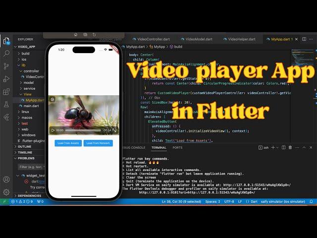 Flutter Video Player Tutorial | Load Video File from Assets and Internet | Video Streaming Guide