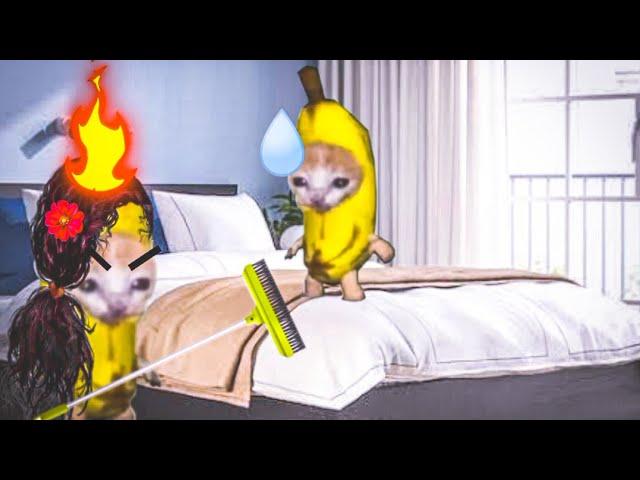 Banana cat  series Epic Episode | happy and banana cat #bananacat #happycats