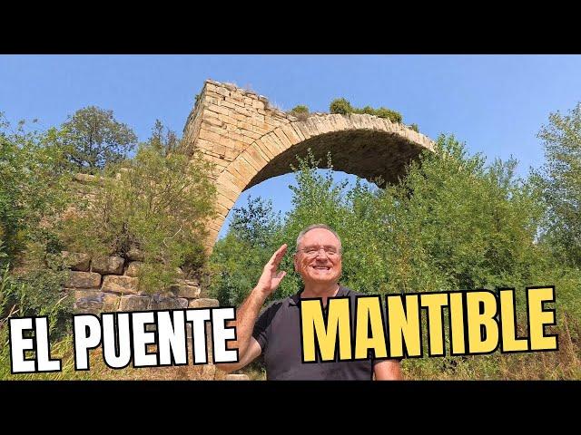 EL PUENTE MANTIBLE