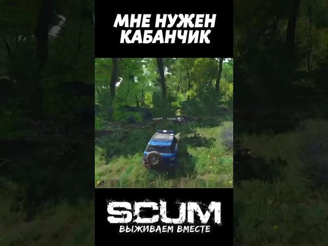 КАБАНЧИК #scum #скам #shorts #scumpvp