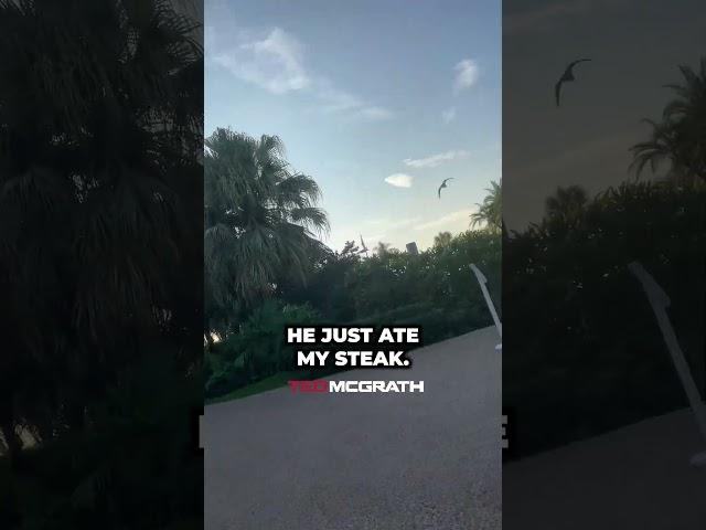 He Ate My Steak | Ted McGrath