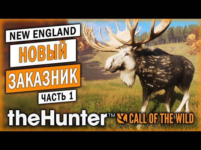 НОВЫЙ ЗАКАЗНИК! НОВОЕ ОРУЖИЕ И СКИНЫ! НОВЫЕ ЛОСИ И ОЛЕНИ! | theHunter Call of the Wild  | Часть #1