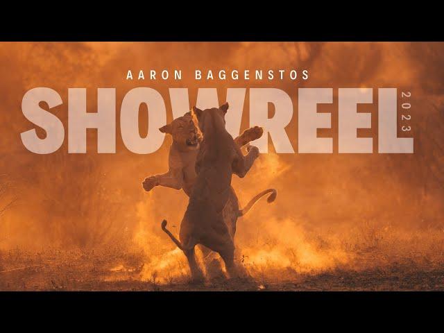 Aaron Baggenstos - 2023 Wildlife Cinematography Showreel