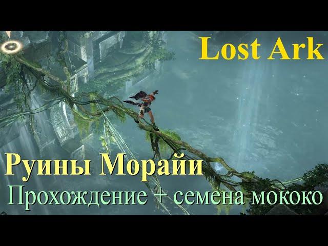 Руины Морайи: прохождение и поиск семян Мококо Lost Ark