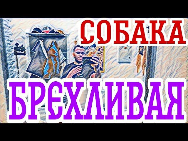 Самвел Адамян Надя смирилась.Какая ревность!Как много общего у ОЛ с ТВ.