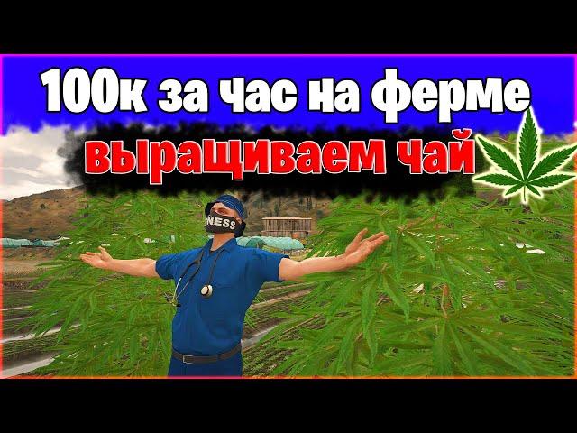 НОВЫЙ ТОПОВЫЙ ВИД ЗАРАБОТКА НА ФЕРМЕ 100К В ЧАС | МАДЖЕСТИК РП | GTA V RP MAJESTIC