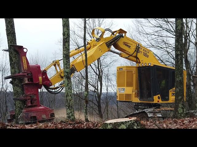 Komatsu XT465L-5 feller buncher