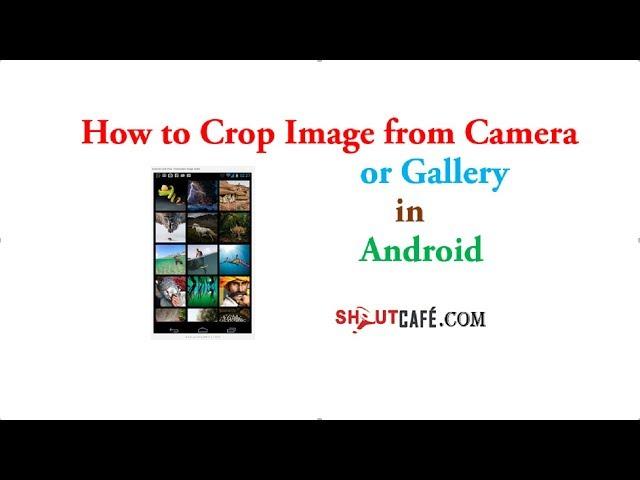 How to Crop Image from camera or gallery  in Android | ShoutCafe.com