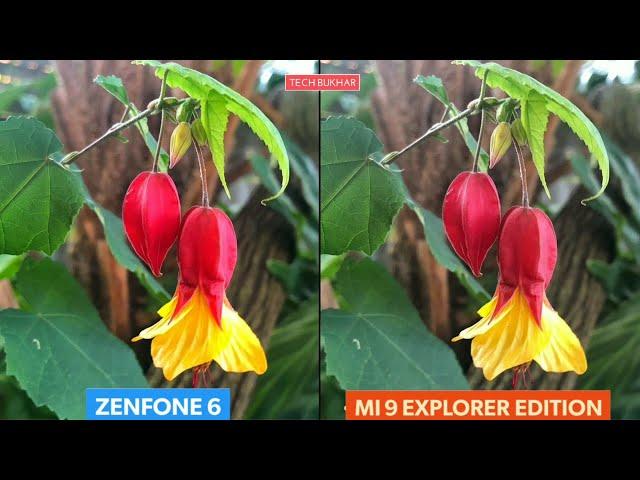 ASUS 6Z (Zenfone 6) vs Xiaomi Mi 9 Explorer Edition Camera Comparison ||#Mi9, #Zenfone6, #TECHBUKHAR