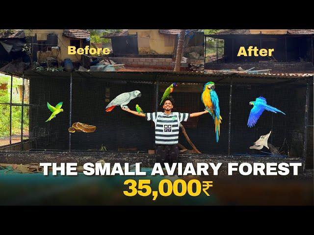 Small Home Aviary Making Video | 35,000₹ യുടെ ഒരു ചെറിയ കിളി കൂട്‌ ️ #trending #aviary #pets