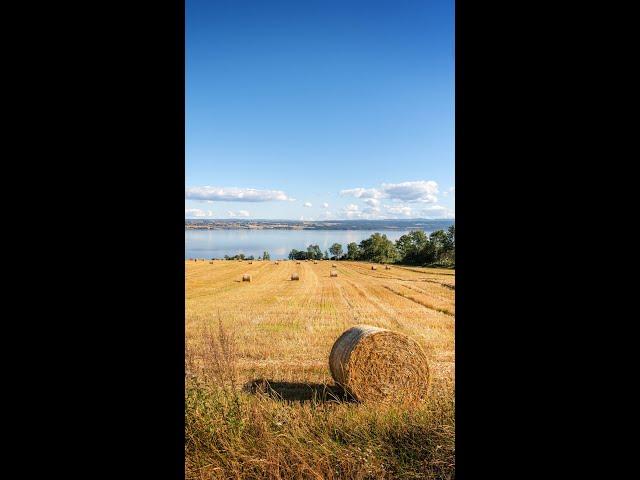 Turforslag  Nes & Helgøya