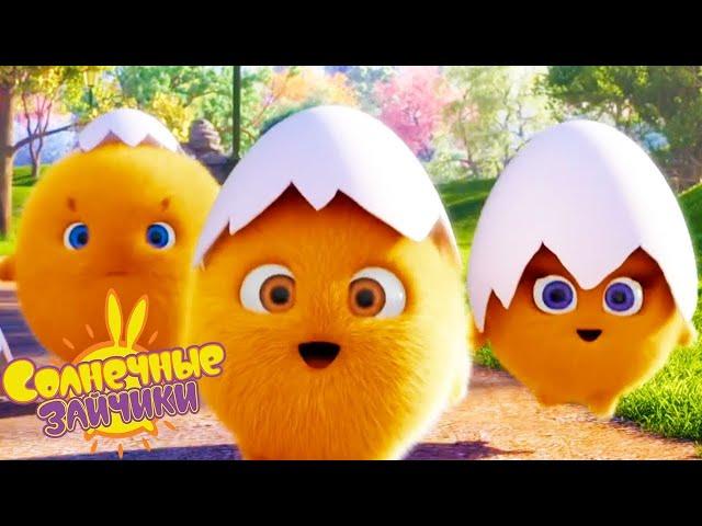 Двойной | Солнечные зайчики | Мультфильмы для детей | WildBrain Россия