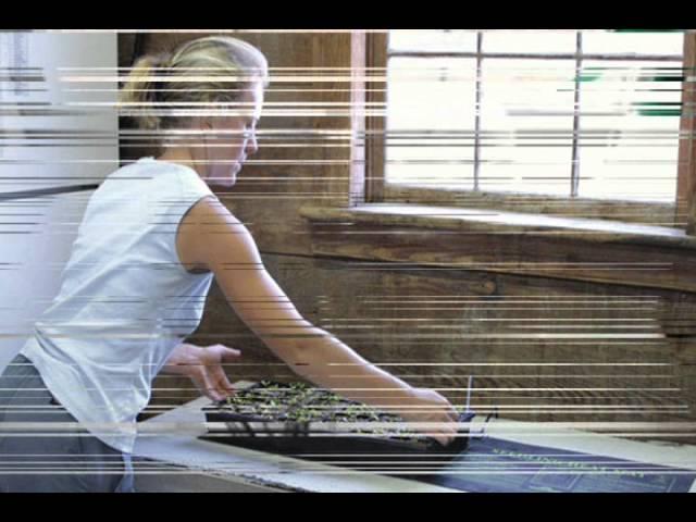 How to Store Seeds Long Term
